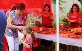 Piknik rodzinny w bielskiej parafii NSPJ 2016