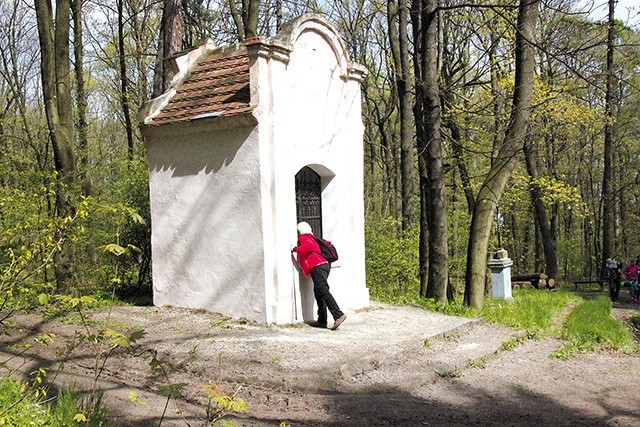 Kapliczka przy czerwonym szlaku.