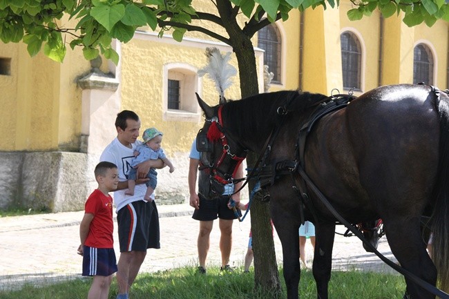 Bryczką do Matki Bożej