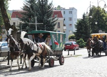 Bryczką do Matki Bożej