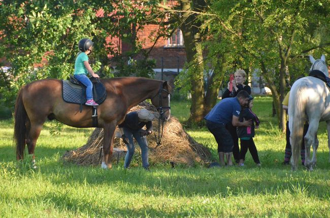 Piknik parafialny w Zakrzowie 