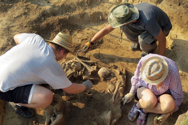 Archeologiczne odkrycia w Sandomierzu