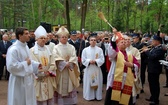 Abp Zygmunt Zimowski