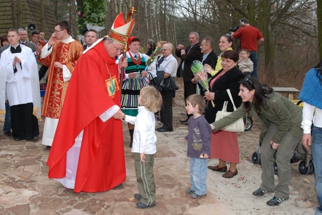 Abp Zygmunt Zimowski