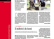 Gość Sandomierski 29/2016