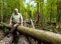Na razie martwe świerki pozostają w Puszczy Białowieskiej. Z tego powodu kilka szlaków turystycznych trzeba było zamknąć, bo uschłe drzewa mogłyby zwalić się na ludzi – mówi nadleśniczy Grzegorz Bielecki.