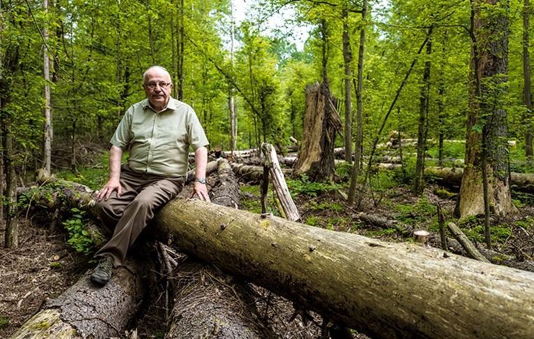 Na razie martwe świerki pozostają w Puszczy Białowieskiej. Z tego powodu kilka szlaków turystycznych trzeba było zamknąć, bo uschłe drzewa mogłyby zwalić się na ludzi – mówi nadleśniczy Grzegorz Bielecki.