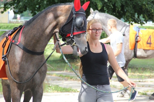 Wyścigi konne 2016