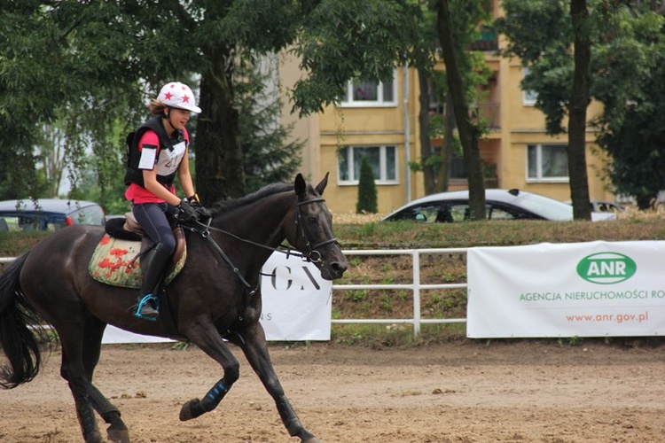 Zawody jeździeckie w Walewicach