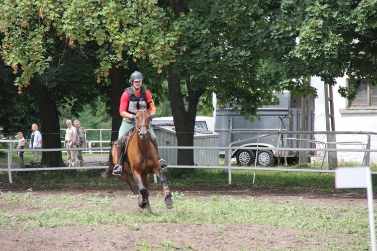 Zawody jeździeckie w Walewicach