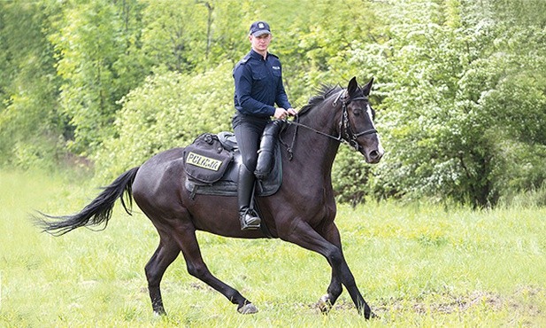 Koń Smyczek i jego opiekun sierżant Przemysław Wiza.