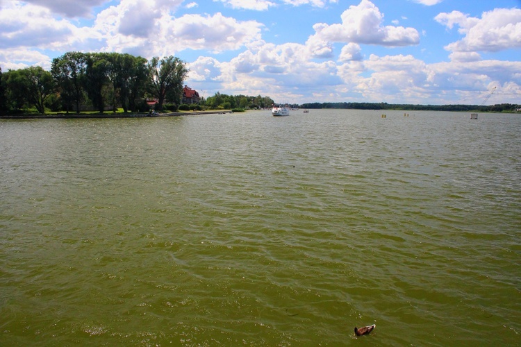 Pielgrzymi ŚDM w Ostródzie