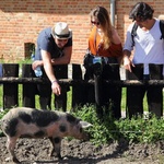 Pielgrzymi ŚDM ze Słupska zwiedzają skansen w Swołowie