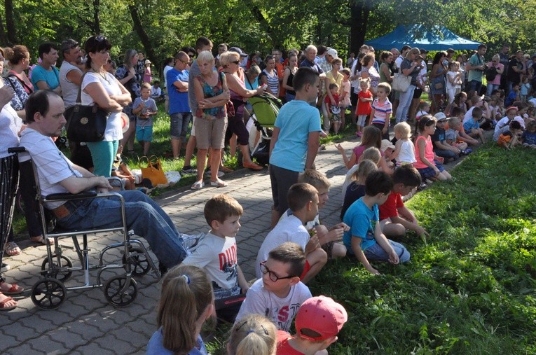 Piknik rycerski w Dąbrowie Tarnowskiej