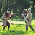 Piknik rycerski w Dąbrowie Tarnowskiej