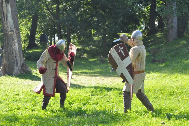 Piknik rycerski w Dąbrowie Tarnowskiej