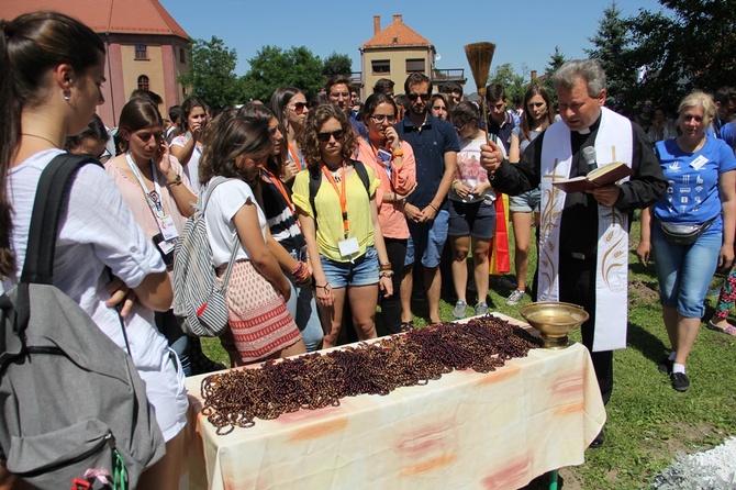 Hiszpanie posadzili drzewka