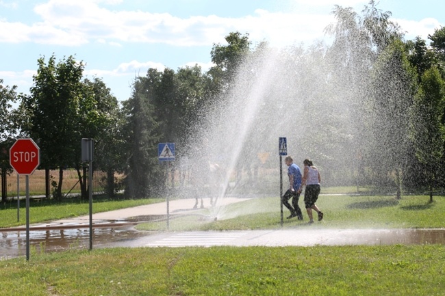 Pielgrzymowali do sanktuarium w Studziannie