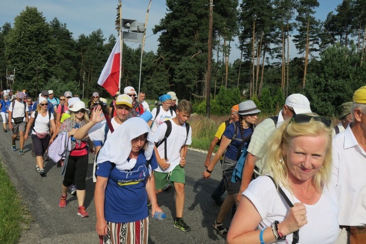 Piesi pielgrzymi z archidiecezji gdańskiej już w Krakowie