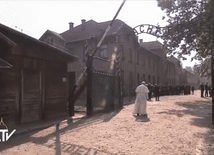 Papież w byłym obozie Auschwitz-Birkenau