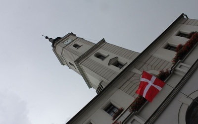 Misja z Danii i Finlandii