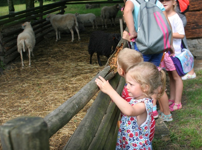 Skansen w Chorzowie i wakacje