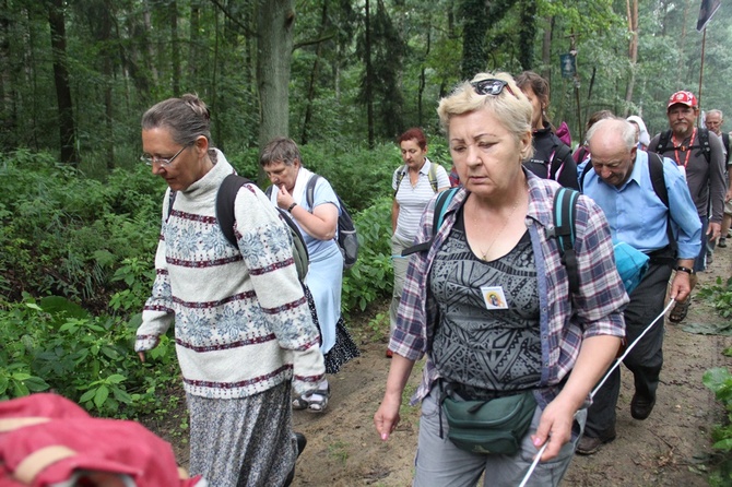 Dzień piąty: Wierzbica Górna - Kluczbork cz. 1