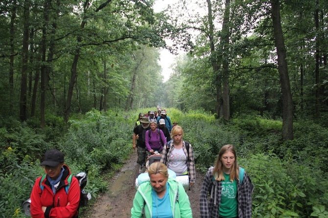 Dzień piąty: Wierzbica Górna - Kluczbork cz. 1