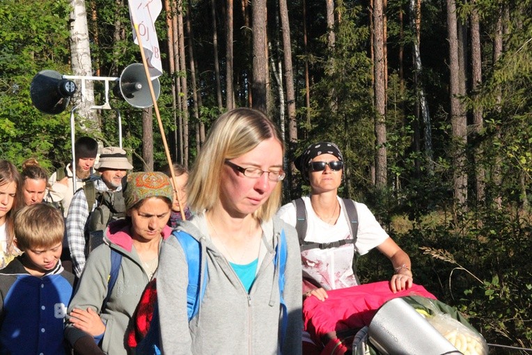 Do lasu za Dąbrową