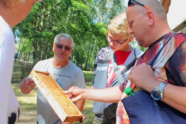 Pięć pszczelich tańców