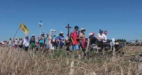 Jeszcze raz o pielgrzymce