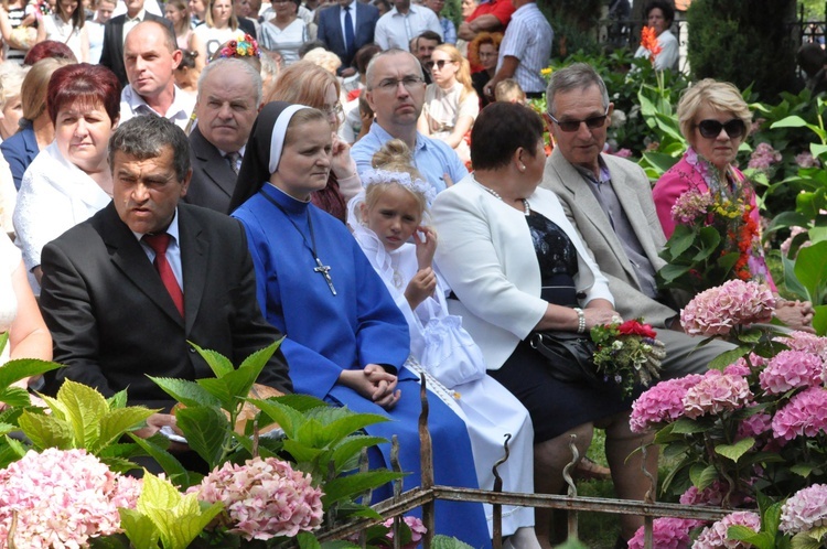 Wniebowzięcie w Bruśniku