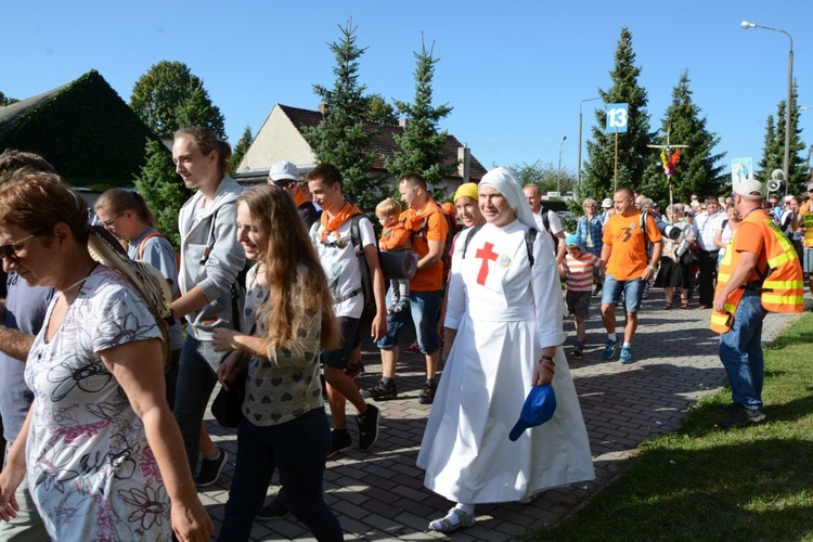 Start strumienia opolskiego