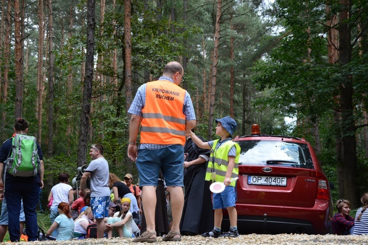 W drodze do Kamienia Śląskiego