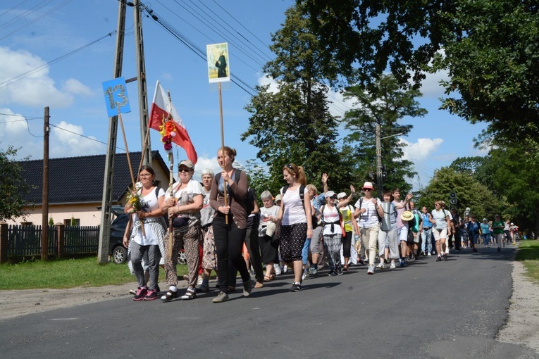 W drodze do Kamienia Śląskiego