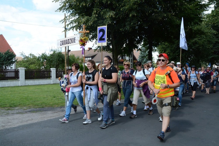 W drodze do Kamienia Śląskiego