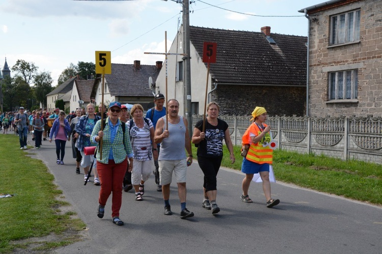 Strumień raciborski w Centawie