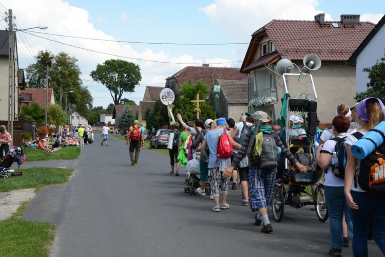 Strumień raciborski w Centawie