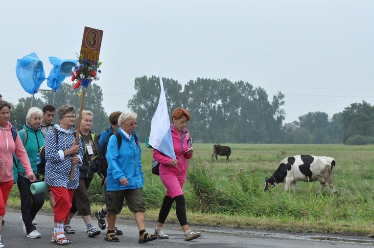 Grupa 3