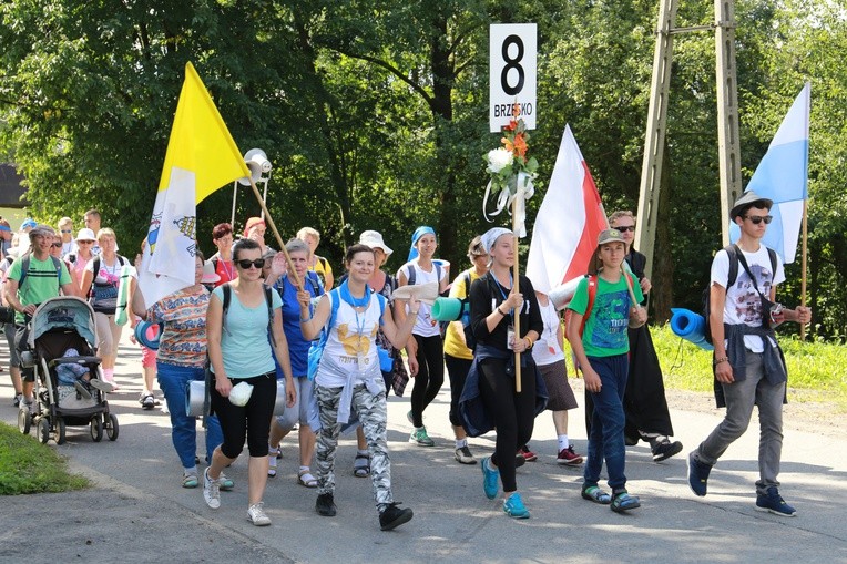 Grupa 8
