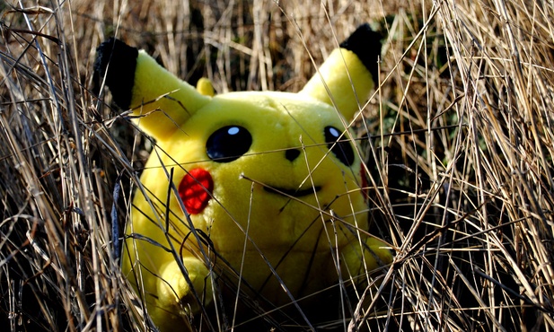 Pierwsza śmiertelna ofiara polowania na Pokemony