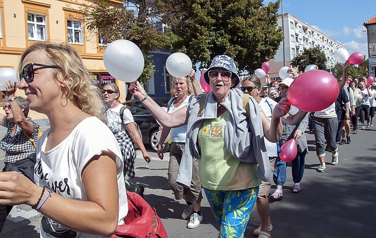 Pielgrzymka Miłosierdzia