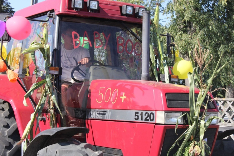 Dożynki Powiatu Gliwickiego cz. 3