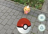 Pokémon na cmentarzu.