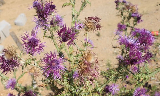 Człowiek psuje się od... środka