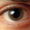 Diagnostyczne dno oka