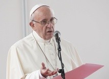 Franciszek o grzechach przeciw stworzeniu