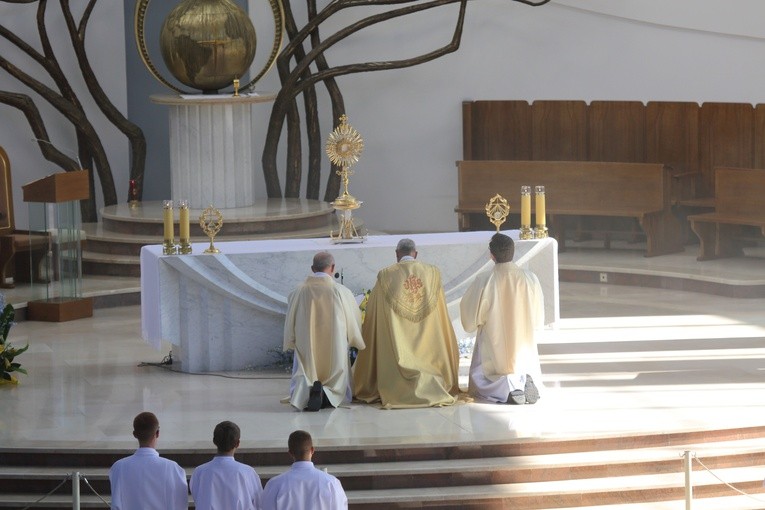 Pielgrzymka duchowieństwa metropolii górnośląskiej do Łagiewnik - cz. IV (31 sierpnia 2016).