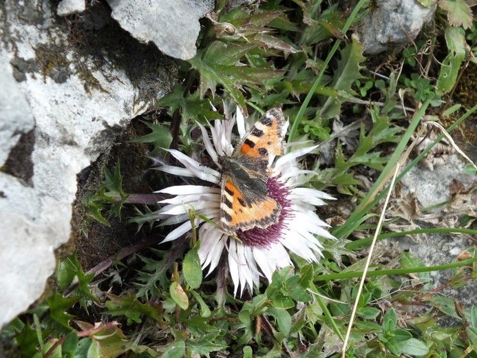 Sobota okiem "Stygmatyka"