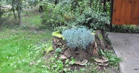 Stradunia najpiękniejszą wsią opolską